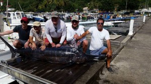 Marlin- Guadeloupe 450 Lbs - Avril 2016